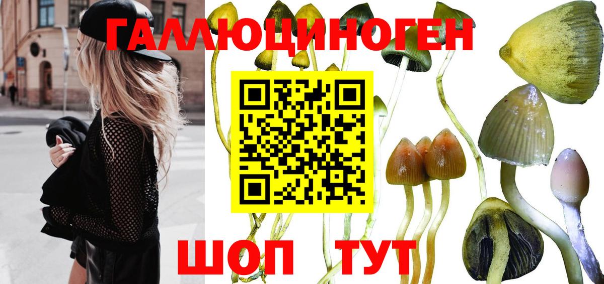 Темрюк  Псилоцибиновые грибы мухоморы  Вход с VPN 