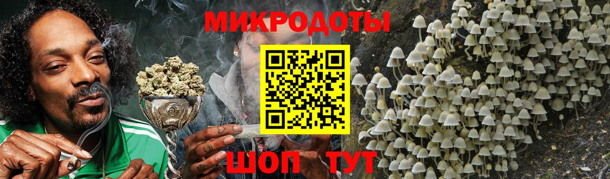 Галлюциногенные грибы GOLDEN TEACHER Темрюк